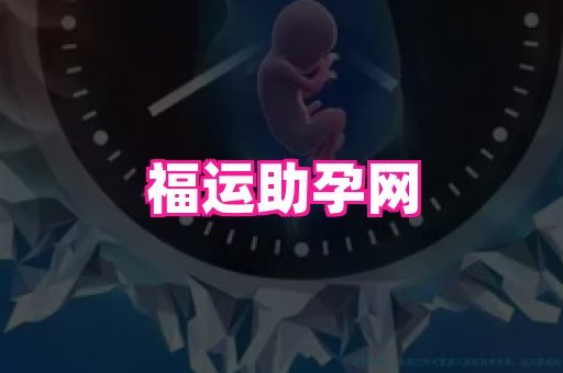 乐乐助孕网 1