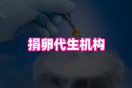 乐乐助孕网 3