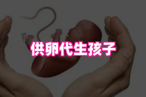 乐乐助孕网 4